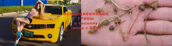 экстази Вяземский