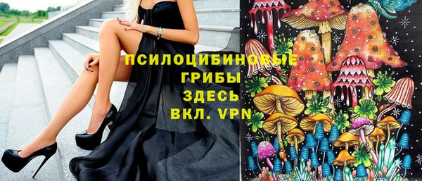 эйфоретик Вязьма